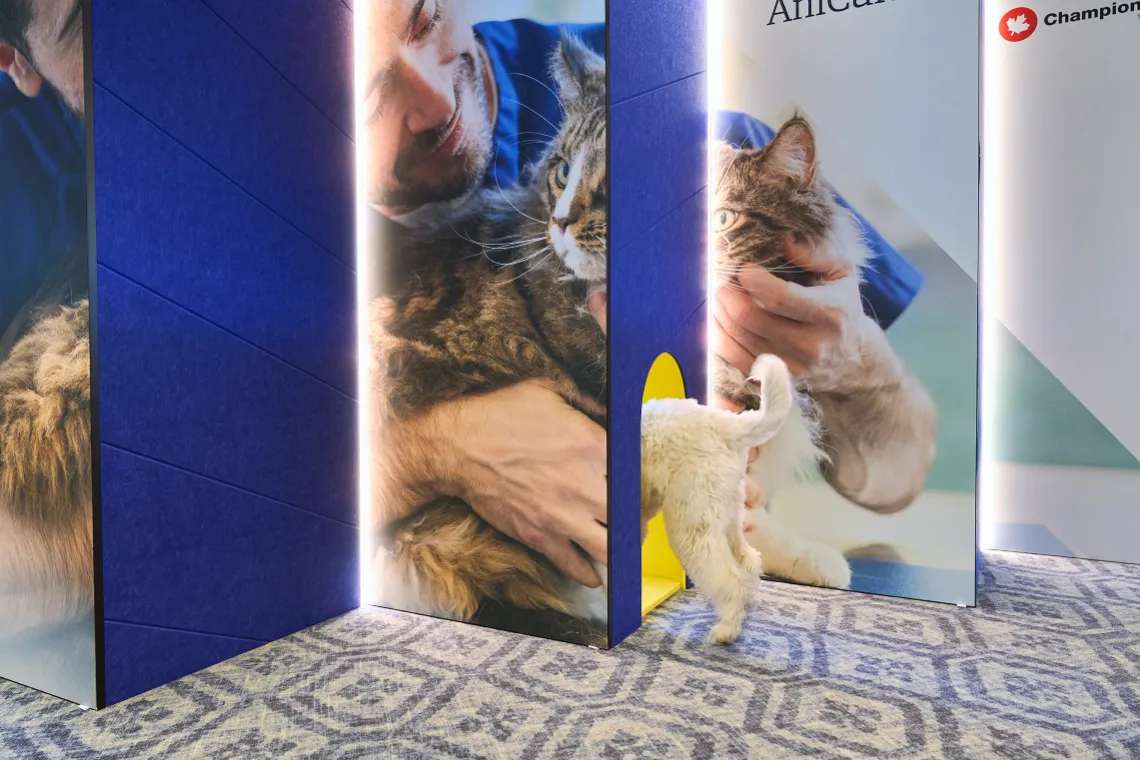 Fully branded Managed Suite by Tribes